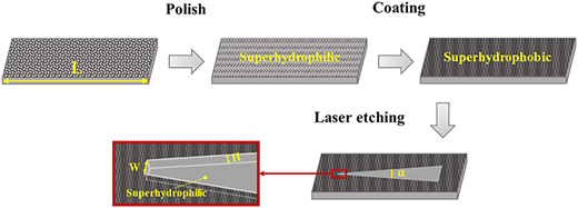 Figure 2 Refer to the image caption for details.