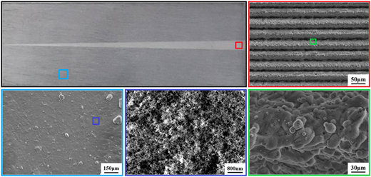 Figure 3 Refer to the image caption for details.