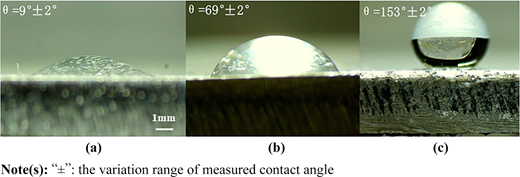 Figure 4 Refer to the image caption for details.