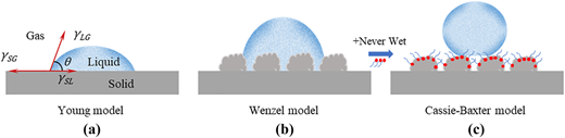 Figure 5 Refer to the image caption for details.