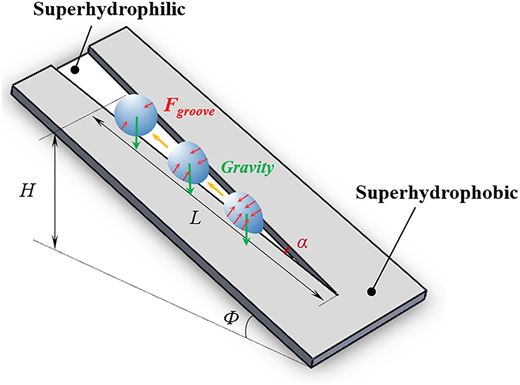 Figure 12 Refer to the image caption for details.