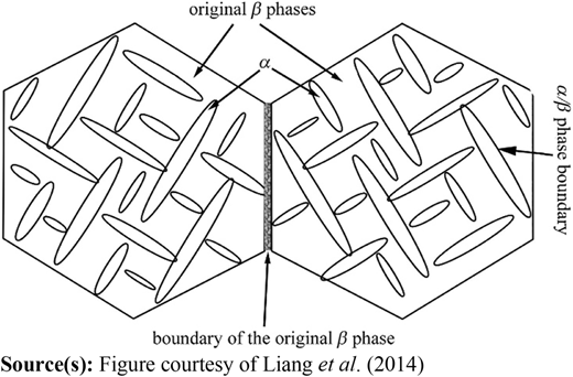 Figure 1 Refer to the image caption for details.