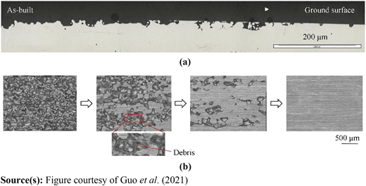 Figure 2 Refer to the image caption for details.