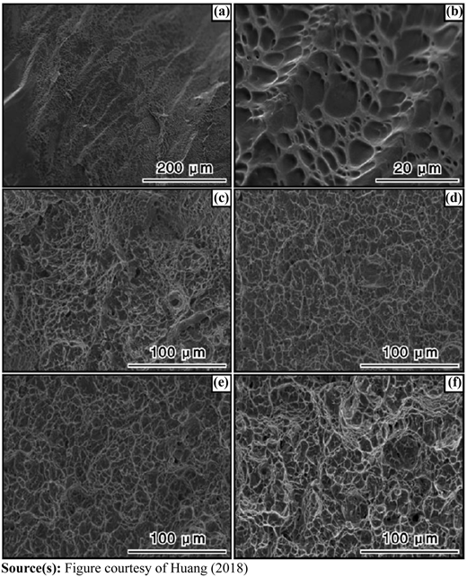 Figure 3 Refer to the image caption for details.