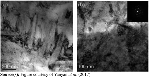 Figure 4 Refer to the image caption for details.