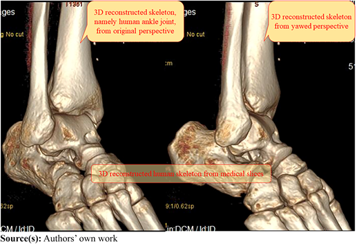 Figure 1 Refer to the image caption for details.