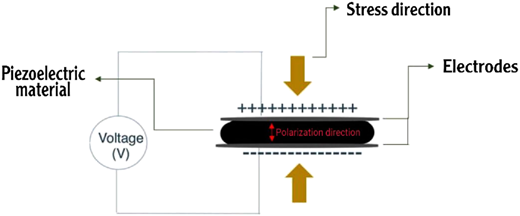 Figure 1 Refer to the image caption for details.