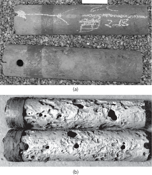 Figure 4 Refer to the image caption for details.
