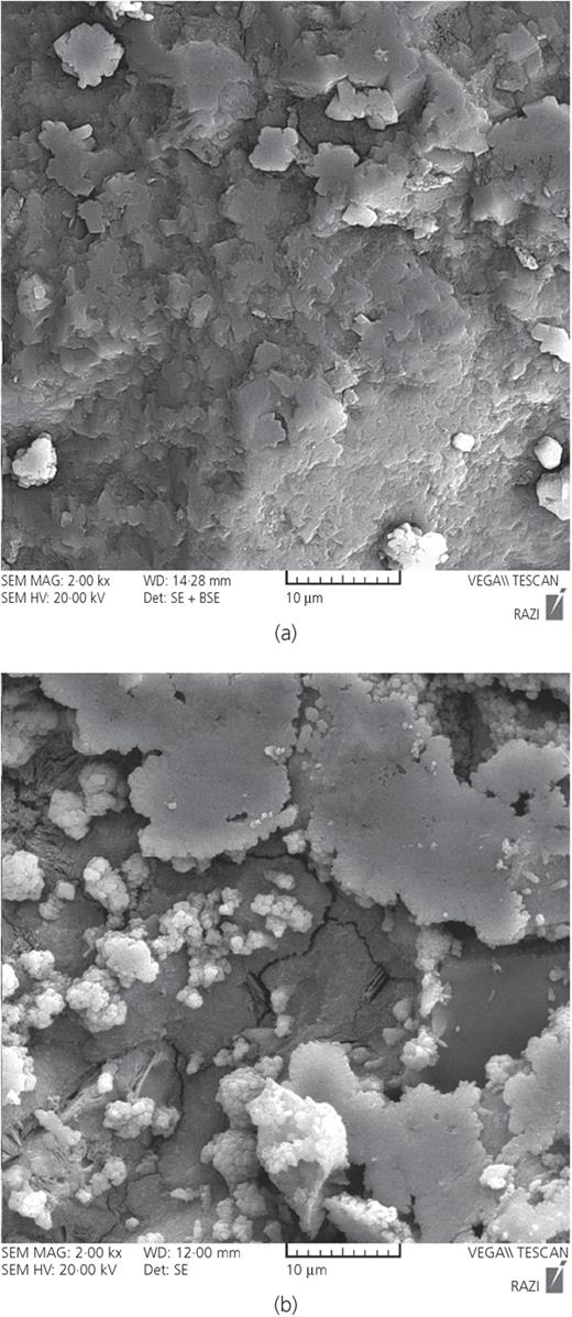 Figure 11. Refer to the image caption for details.