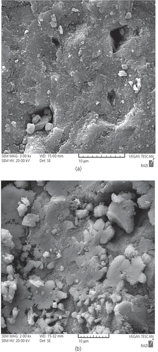 Figure 13. Refer to the image caption for details.