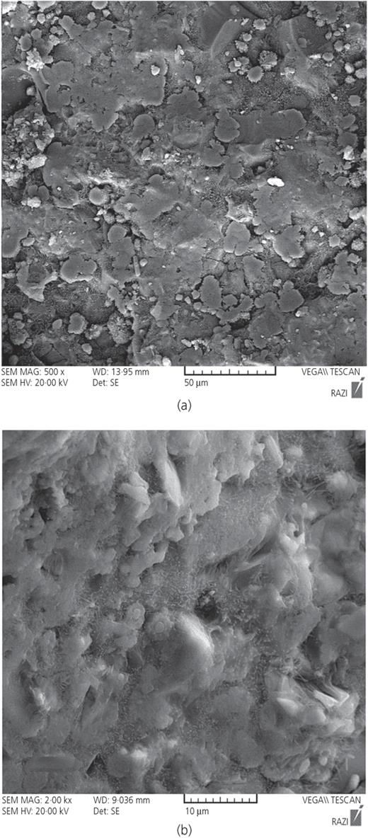 Figure 17. Refer to the image caption for details.