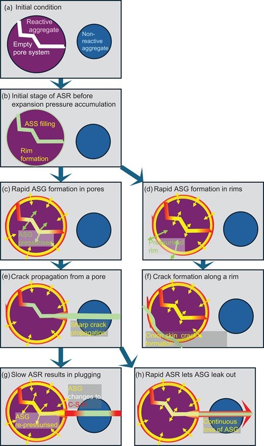 Diagram illustrating various stages of aggregate expansion and crack formation in a porous system due to alkali-silica reaction.