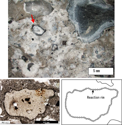 Close-up images of geological samples showing mineral structures, including reaction rims and varied textures, with scale bars for reference.