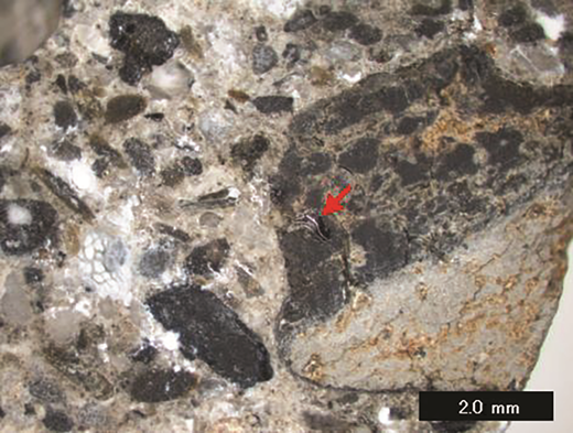 A microscopic image of rock, featuring various minerals and a highlighted area marked with a red arrow, indicating a specific detail of interest.