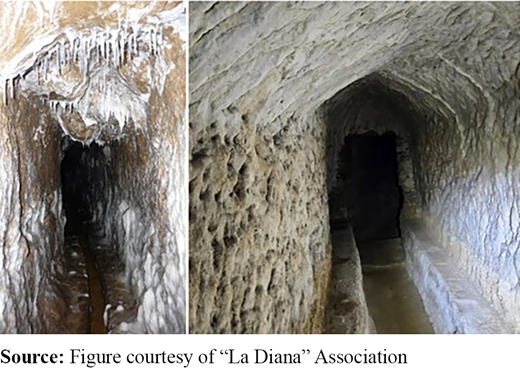 Figure 1. Refer to the image caption for details.