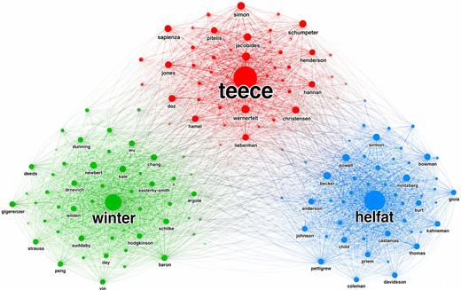A co-citation network presents three author clusters, with Teece, Winter, and Helfat as the largest connected nodes.