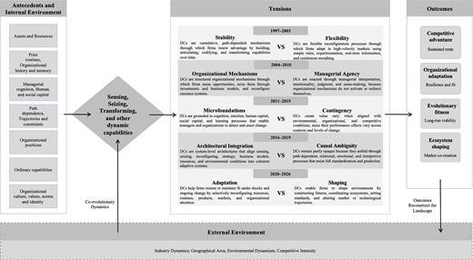 A dynamic capabilities framework links antecedents, tensions, outcomes, and external environment factors.