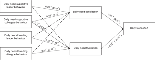 A path diagram links daily leader and colleague behaviours to daily work effort through need satisfaction and frustration.