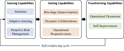 A diagram shows sensing, seizing, and transforming capabilities linked in a self-reinforcing cycle.