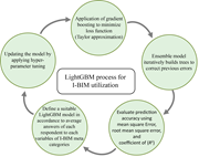 A flowchart showing Light G B M process for I B I M utilisation.