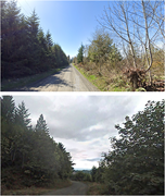 Two photos show narrow rural roads bordered by dense trees and vegetation under clear and cloudy skies.