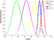 A scatter graph compares membership degree against weight for 5 risk levels.