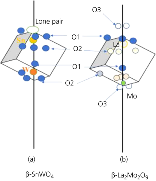 Figure 1 Refer to the image caption for details.