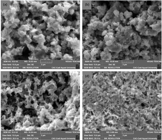 Four scanning electron microscope images displaying varied textures and structures, each labelled from a to d.