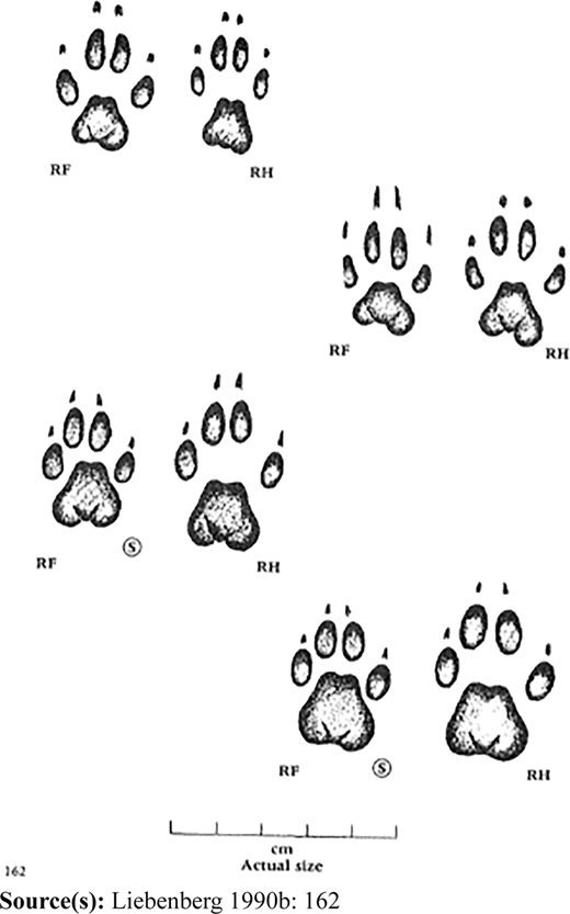 Figure 1 Refer to the image caption for details.