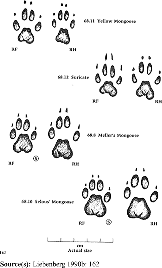 Figure 2 Refer to the image caption for details.