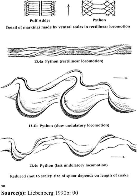 Figure 3 Refer to the image caption for details.