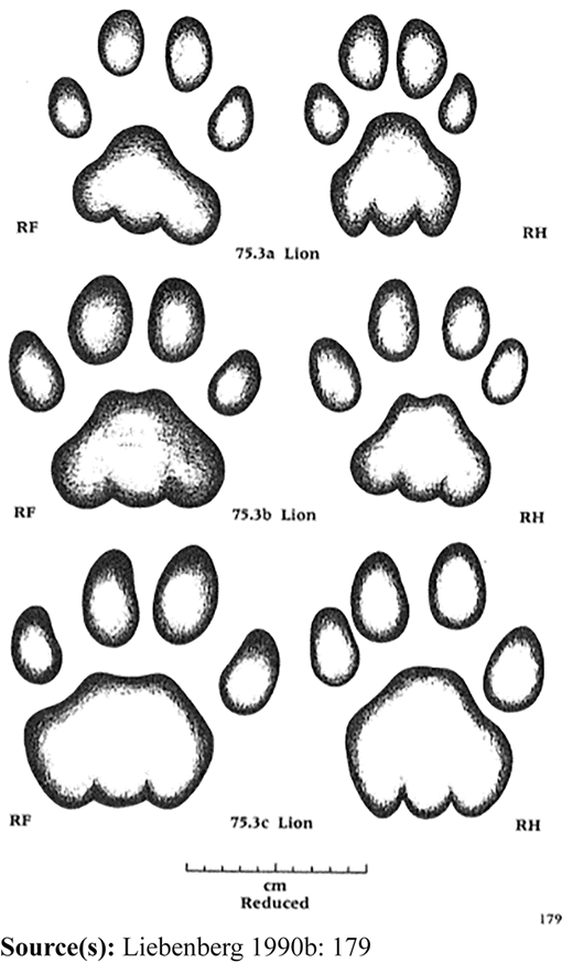 Figure 5 Refer to the image caption for details.