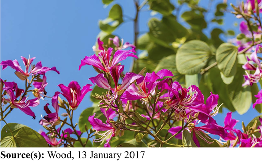 Plate 3 Refer to the image caption for details.
