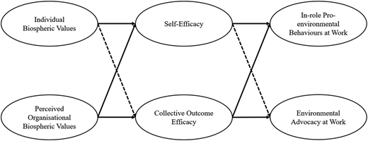Figure 1 Refer to the image caption for details.