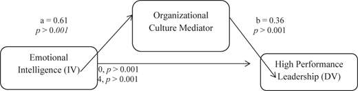 A mediation model shows the role of organizational culture.