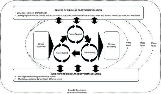 A diagram shows circular and linear economy transitions with cycles, arrows, and labeled drivers, inhibitors, and levels.