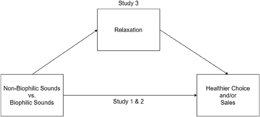 A conceptual framework diagram illustrating the relationship between non-biophilic sounds, biophilic sounds, relaxation, and healthier choices or sales.