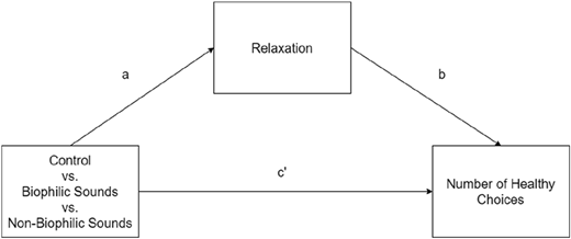 A diagram of a theoretical model of study 3.