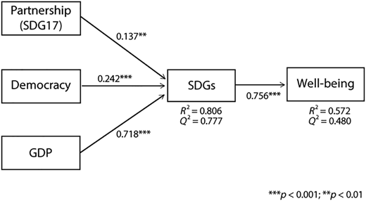 A diagram shows links from partnership, democracy, and G D P to S D G s, leading to well-being with values.