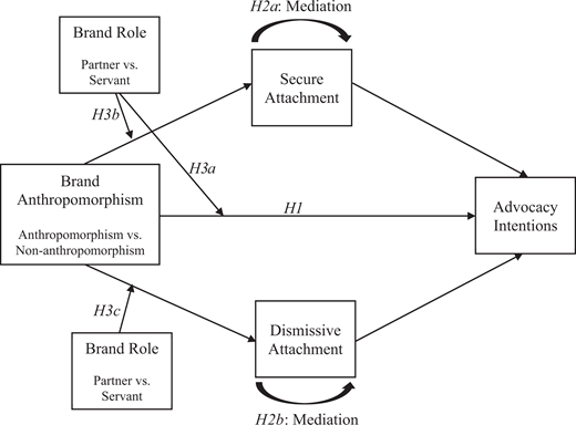 A conceptual model shows hypothesised links between brand anthropomorphism, attachment, and advocacy intentions.