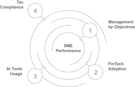 A diagram illustrating the configurational pathways to SME entrepreneurial performance.