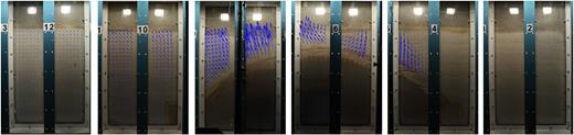 Figure 12. Refer to the image caption for details.