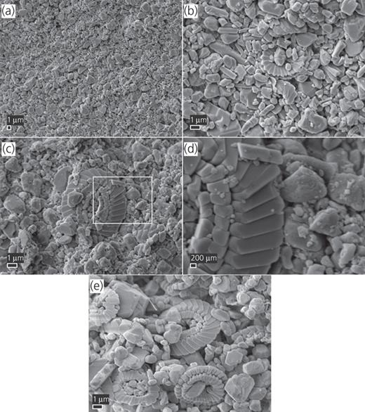 Figure 11. Refer to the image caption for details.
