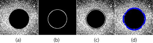 Figure 5. Refer to the image caption for details.