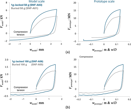 Four graphs compare buried and 1 g jacked responses at 50 g and 100 g scales.