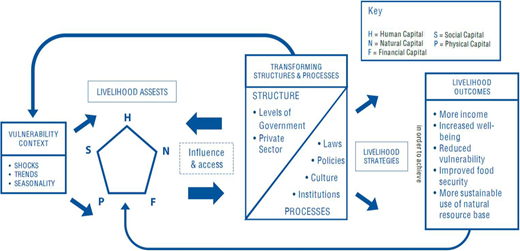 A flow diagram links vulnerability context, livelihood assets, transforming structures and processes, livelihood strategies, and livelihood outcomes through directional feedback.