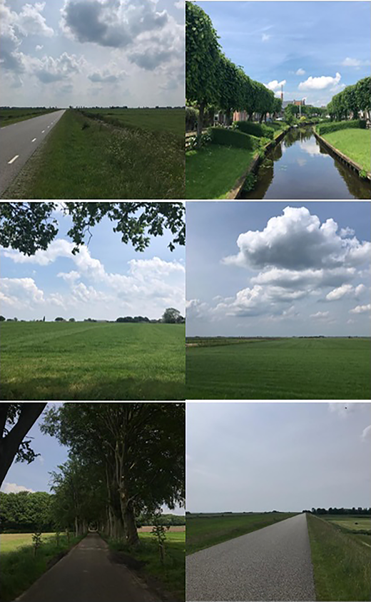 Six pictures showing some areas of the National Lanscape Southwest Friesland with open fiels, paved roads, a three-lined canal and a road surrounded by tall trees.