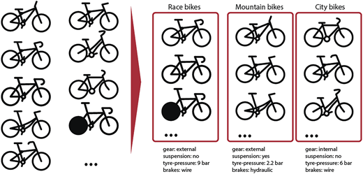 Figure 1 Refer to the image caption for details.