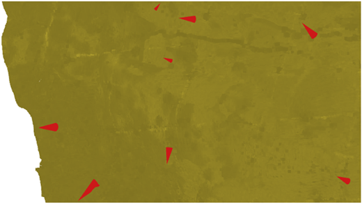 An image shows a textured yellowish surface with scattered red triangular markers.