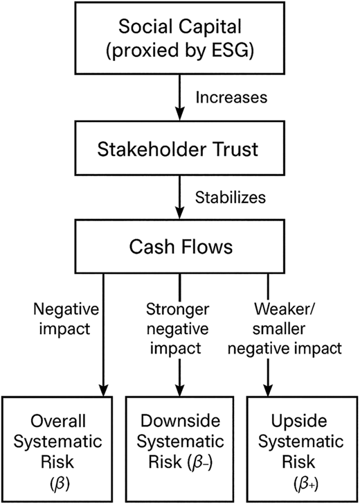 A flowchart showing Social Capital (E S G) increasing Stakeholder Trust, stabilizing Cash Flows, and affecting Risk.
